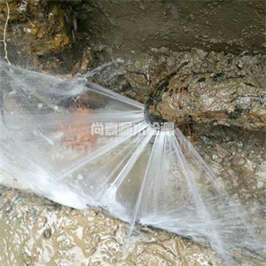 越西自来水管道漏点检测